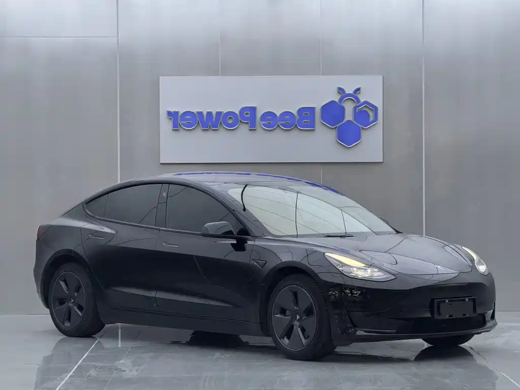 Tesla Model 3 — миниатюра 3
