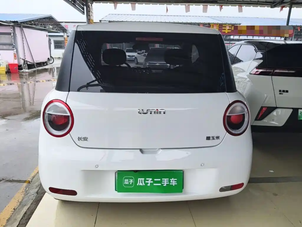 Qiyuan Lumin — миниатюра 6
