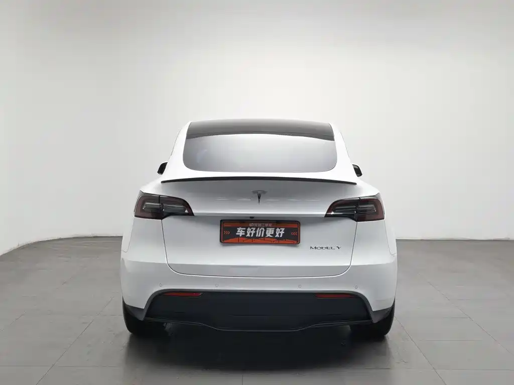 Tesla Model Y — миниатюра 4