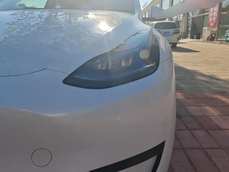 Tesla Model Y — миниатюра 5
