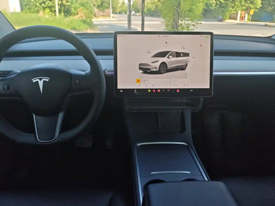 Tesla Model Y — миниатюра 12