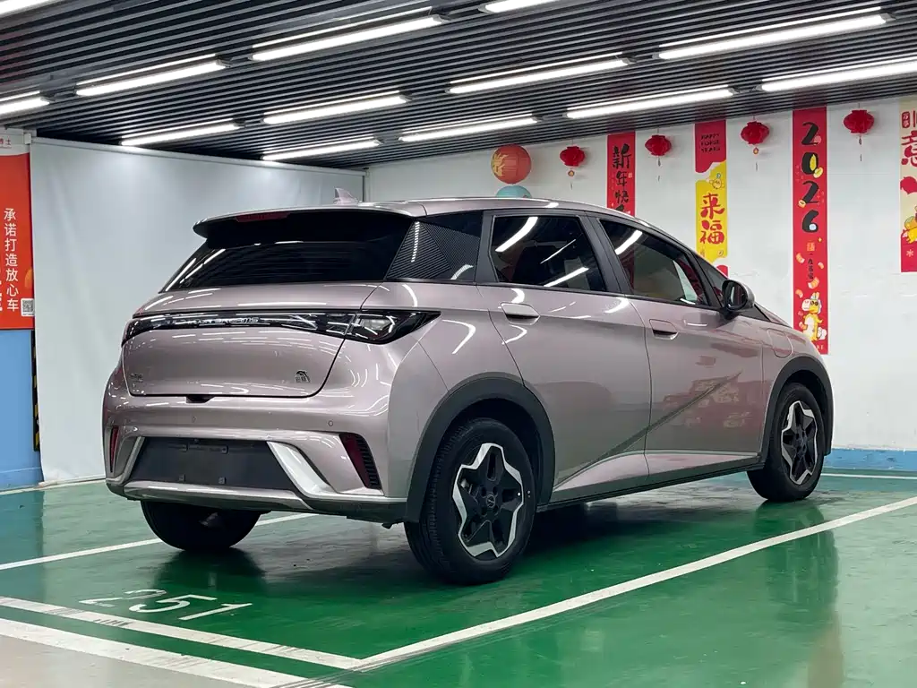 BYD Dolphin — миниатюра 5