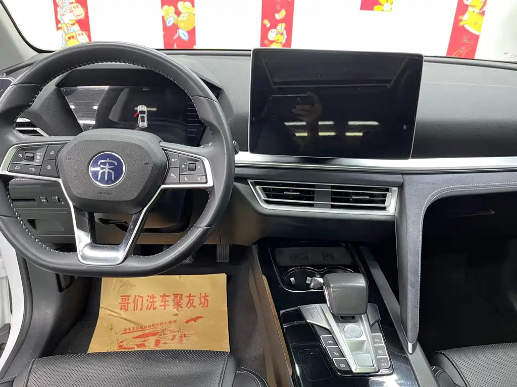 BYD Pro New Energy — миниатюра 11