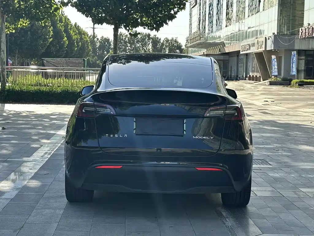 Tesla Model Y — миниатюра 12