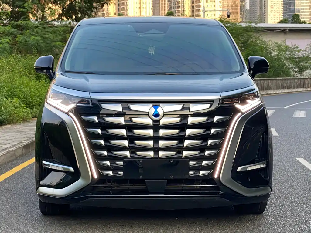 Denza Denza D9 — миниатюра 2
