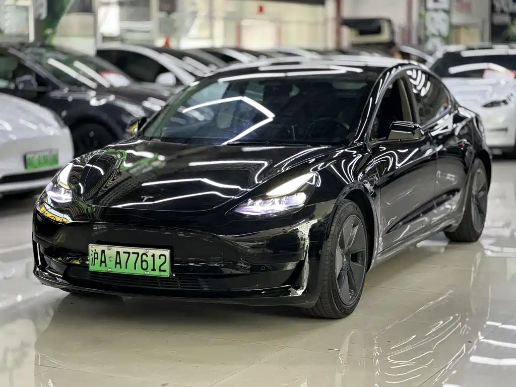 Tesla Model 3 2022