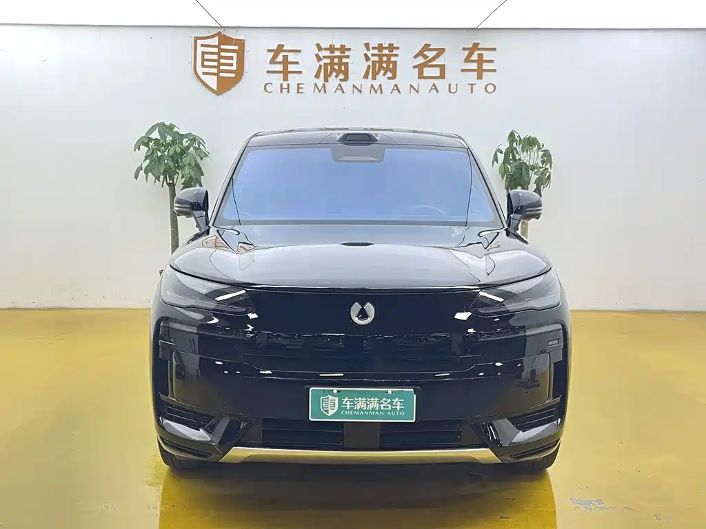 Denza Denza N9 — миниатюра 2