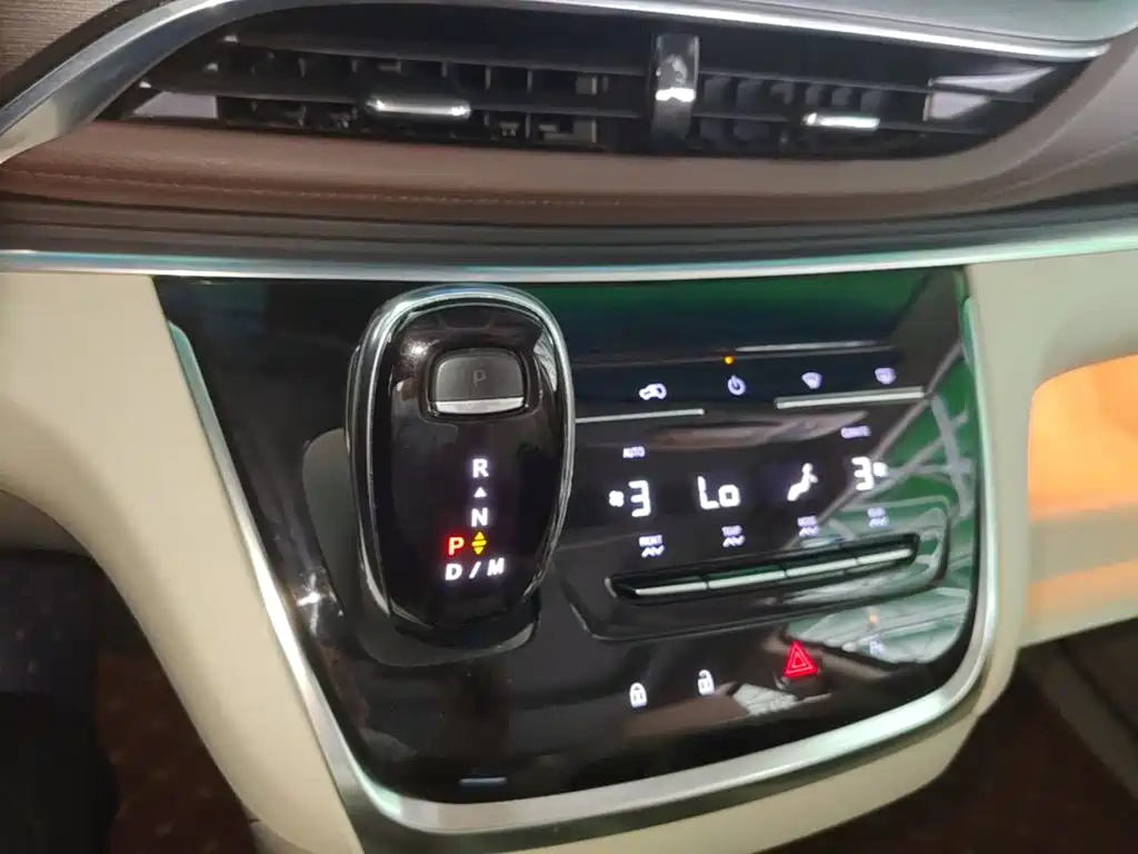 Buick GL8 — миниатюра 14