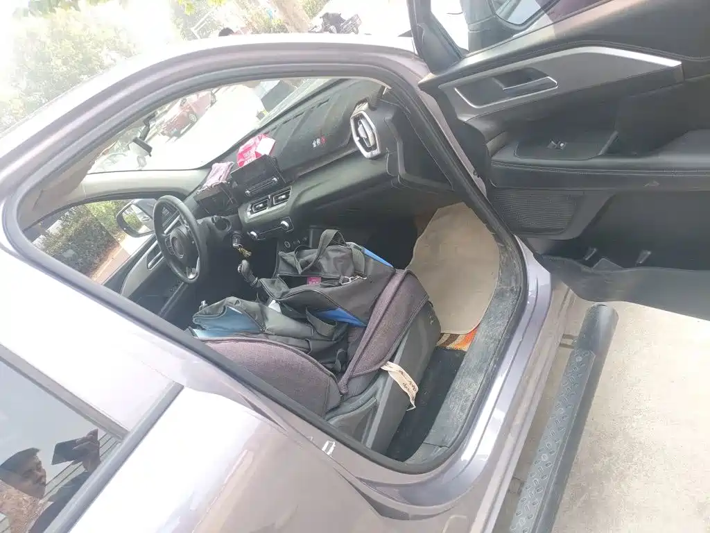 Great Wall King Kong Pao — миниатюра 19