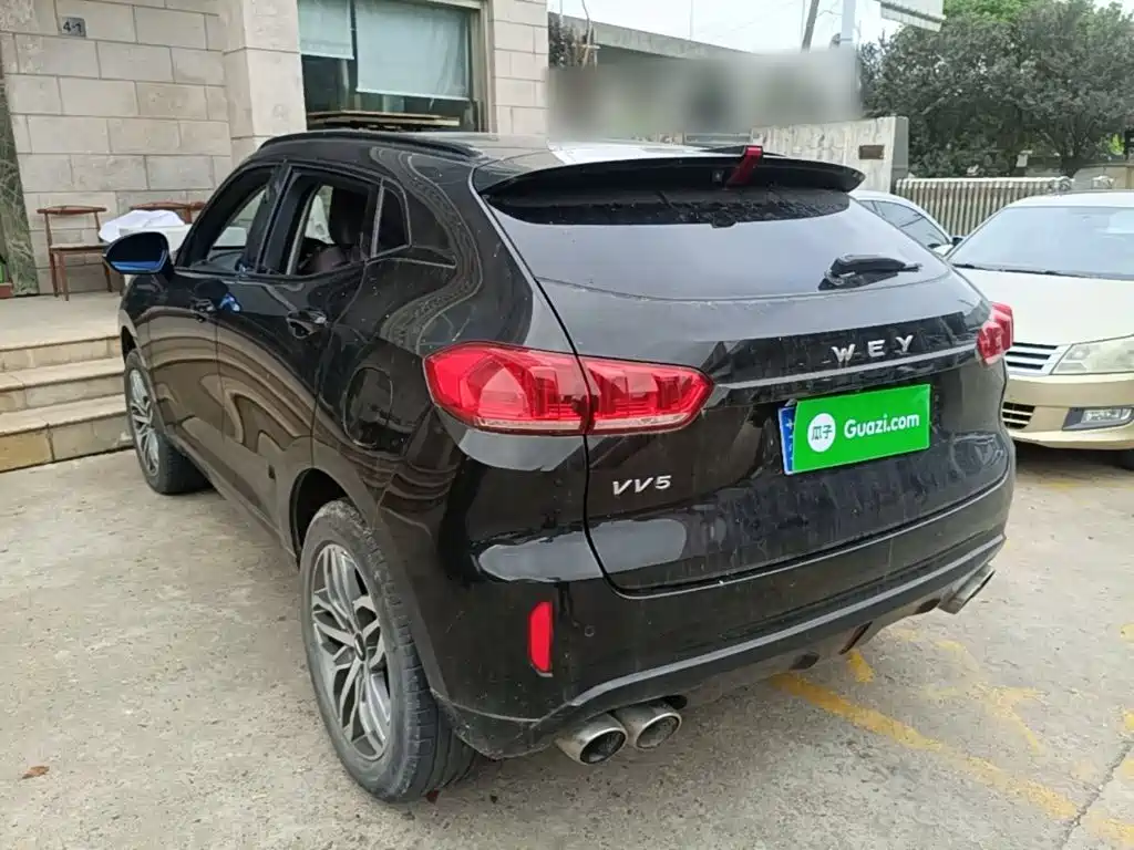 Wey Wey VV5 — миниатюра 23
