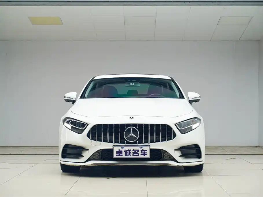 Mercedes-Benz CLS CLS 300 Luxury Type, фото 2