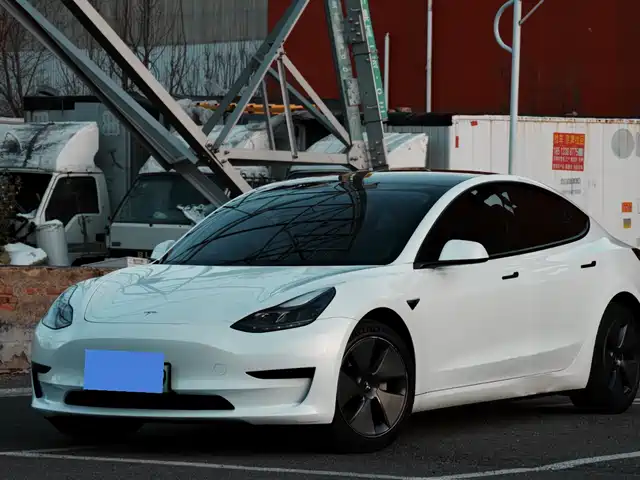 TESLA MODEL 3 2021