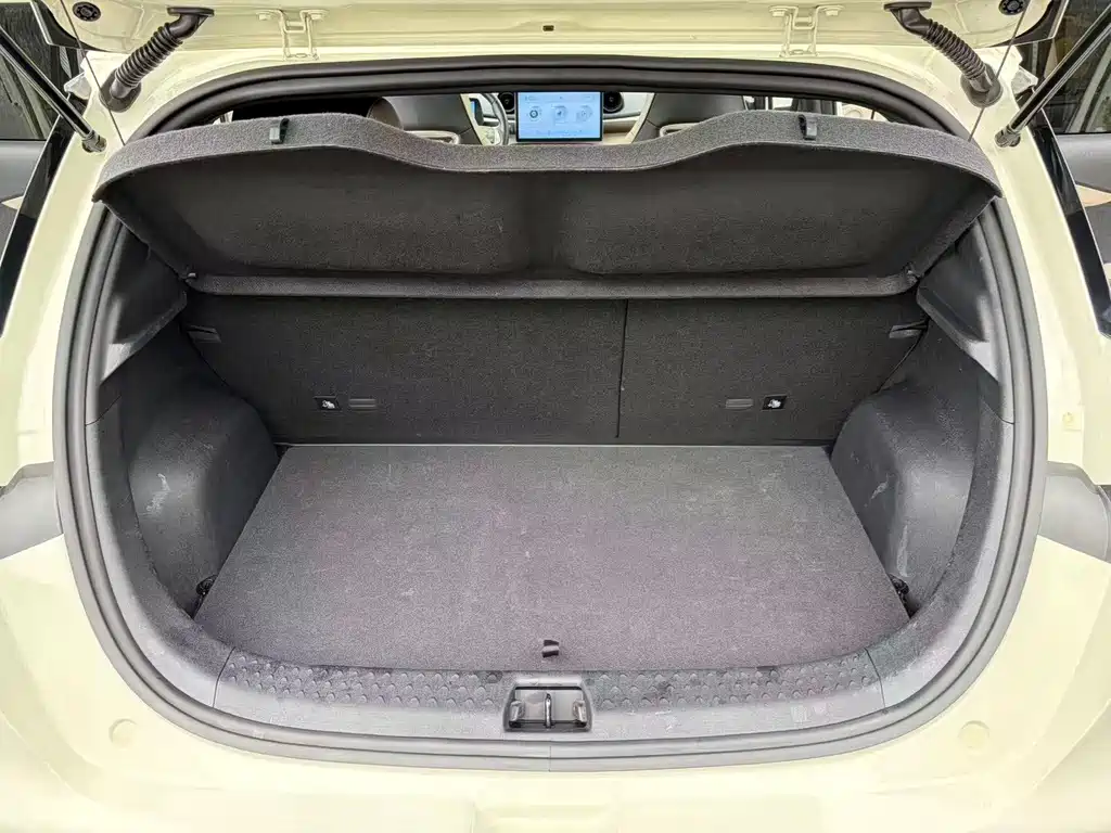 BYD Dolphin — миниатюра 9
