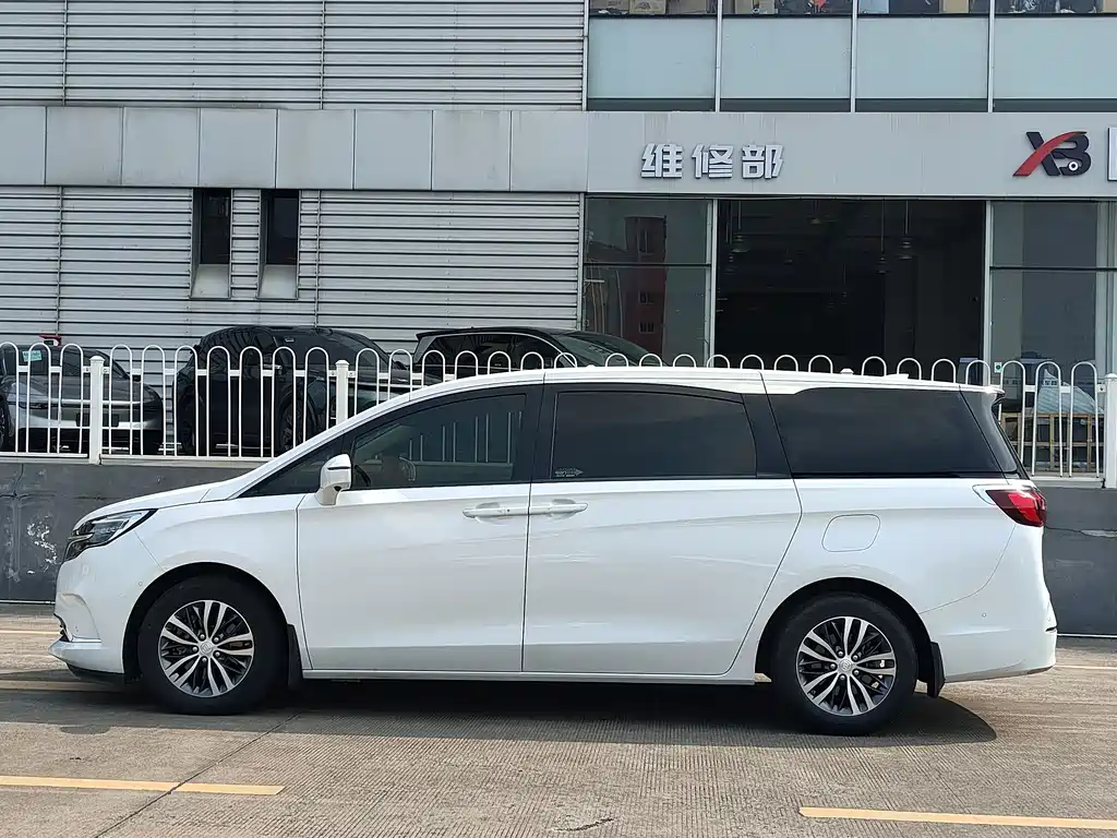 Buick GL8 — миниатюра 6