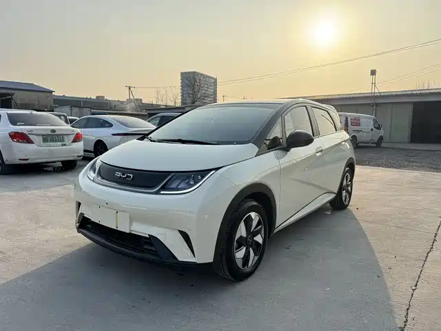 BYD DOLPHIN 2025