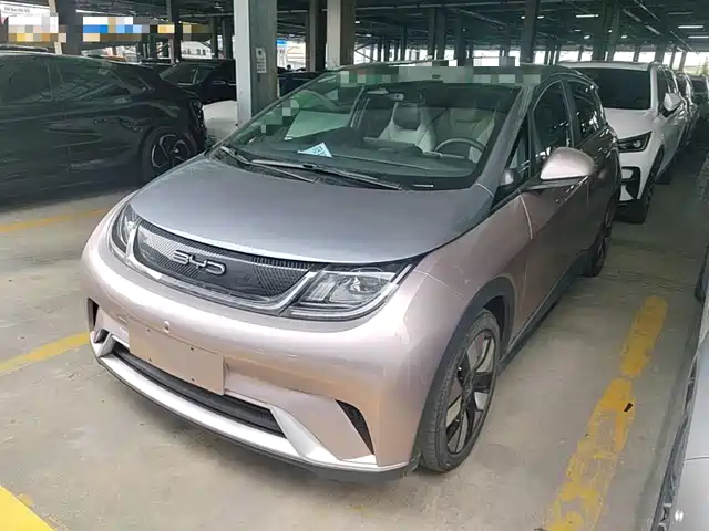 BYD Dolphin