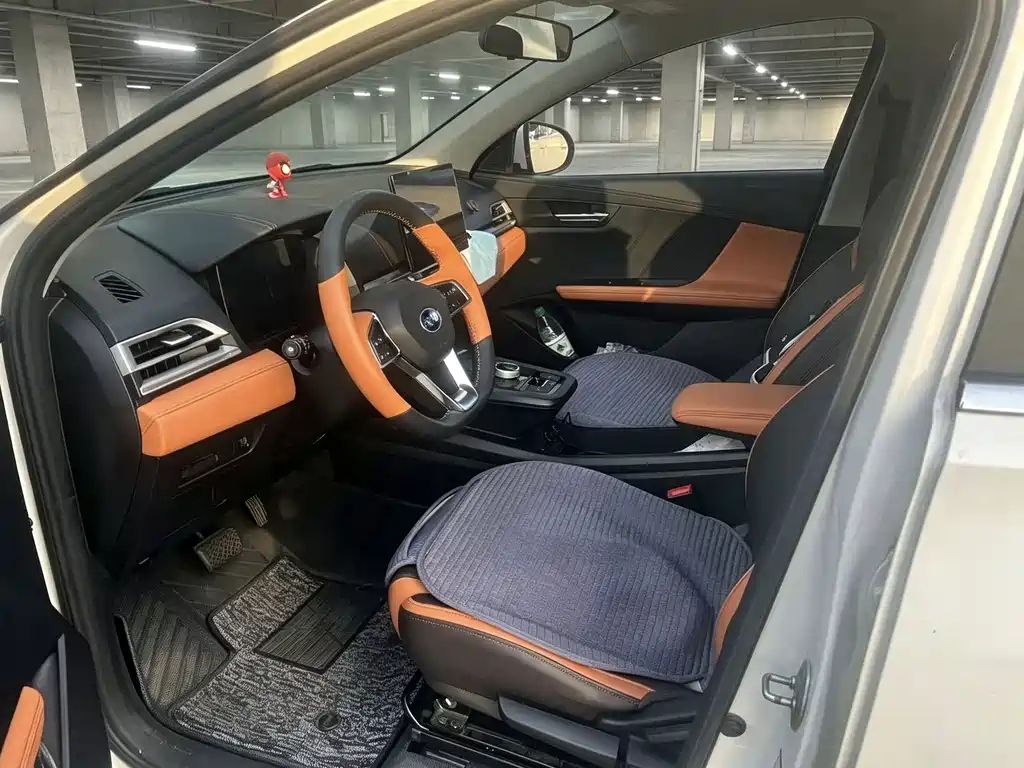BYD e2 — миниатюра 6