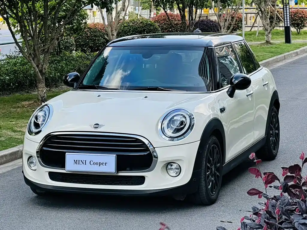 Mini Mini 2019