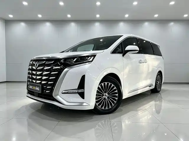 2023 Denza D9