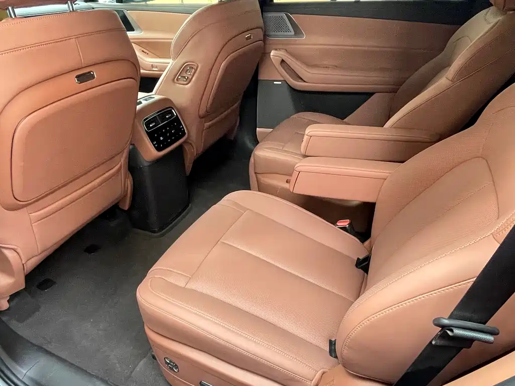 Denza Denza N8L — миниатюра 7