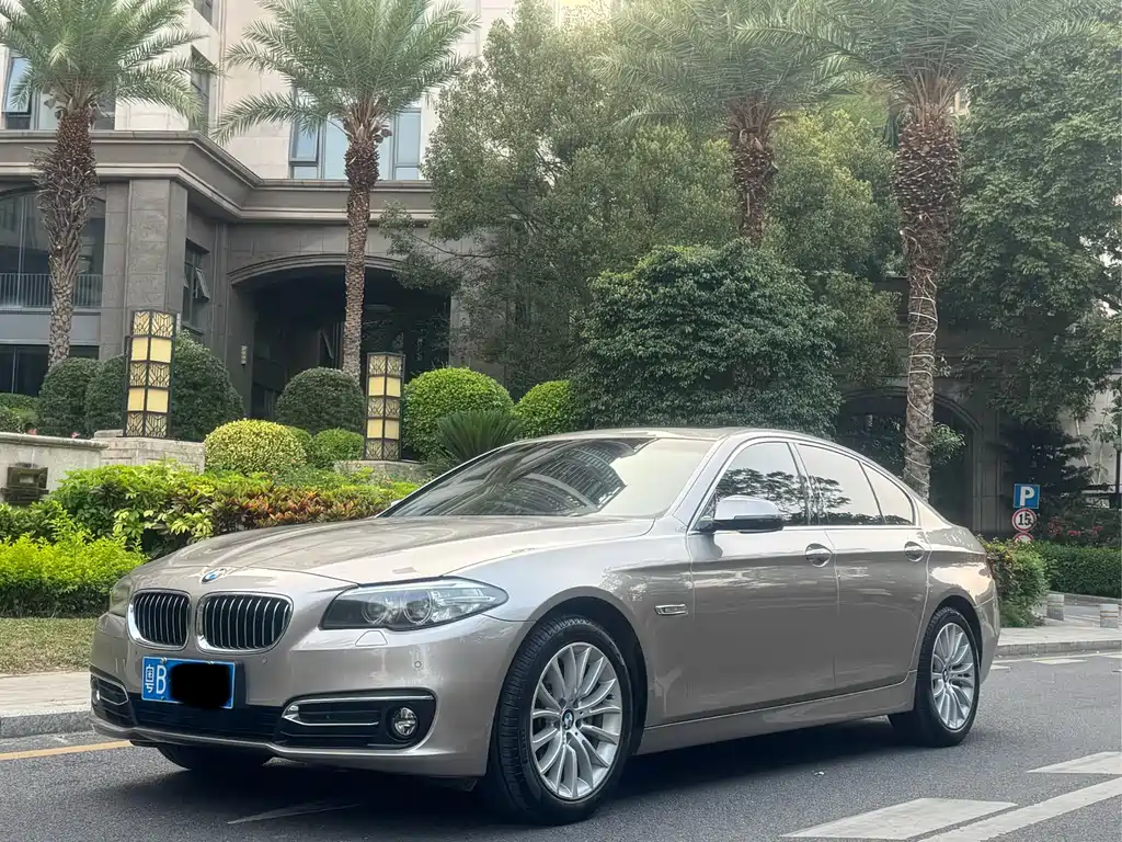 BMW 5 Series (Import) 2015
