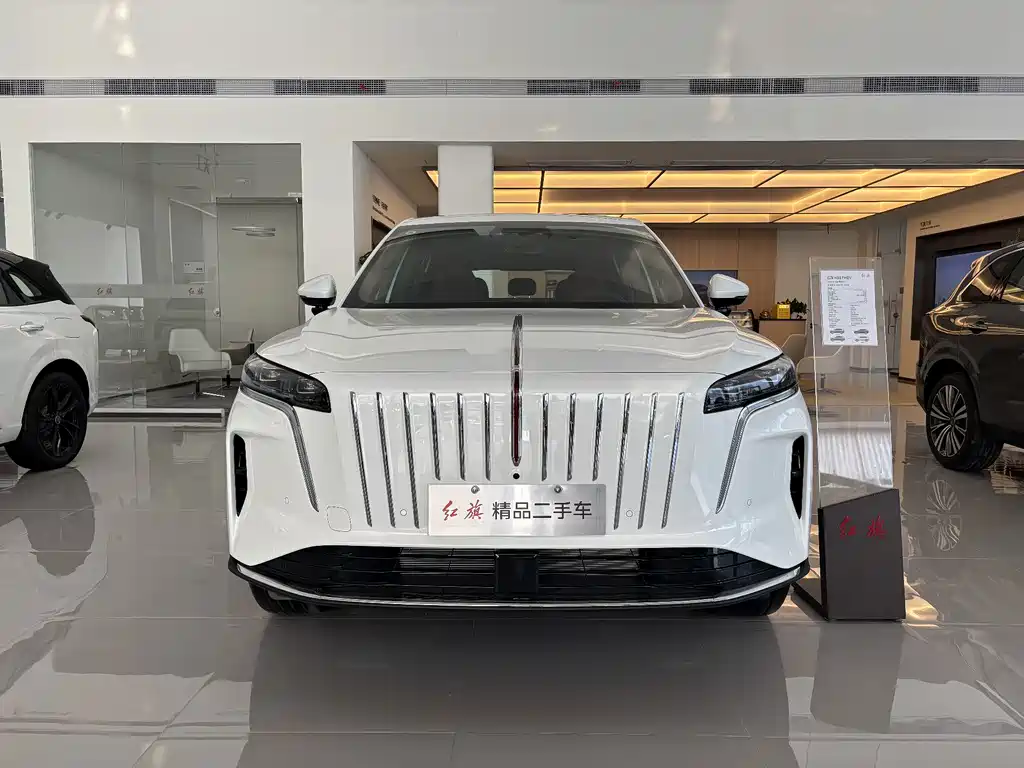 Hongqi Красный флаг HS6 PHEV — миниатюра 2