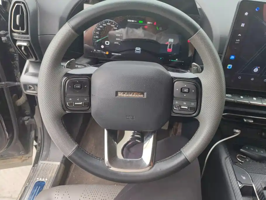 Haval Big Dog PLUS — миниатюра 15