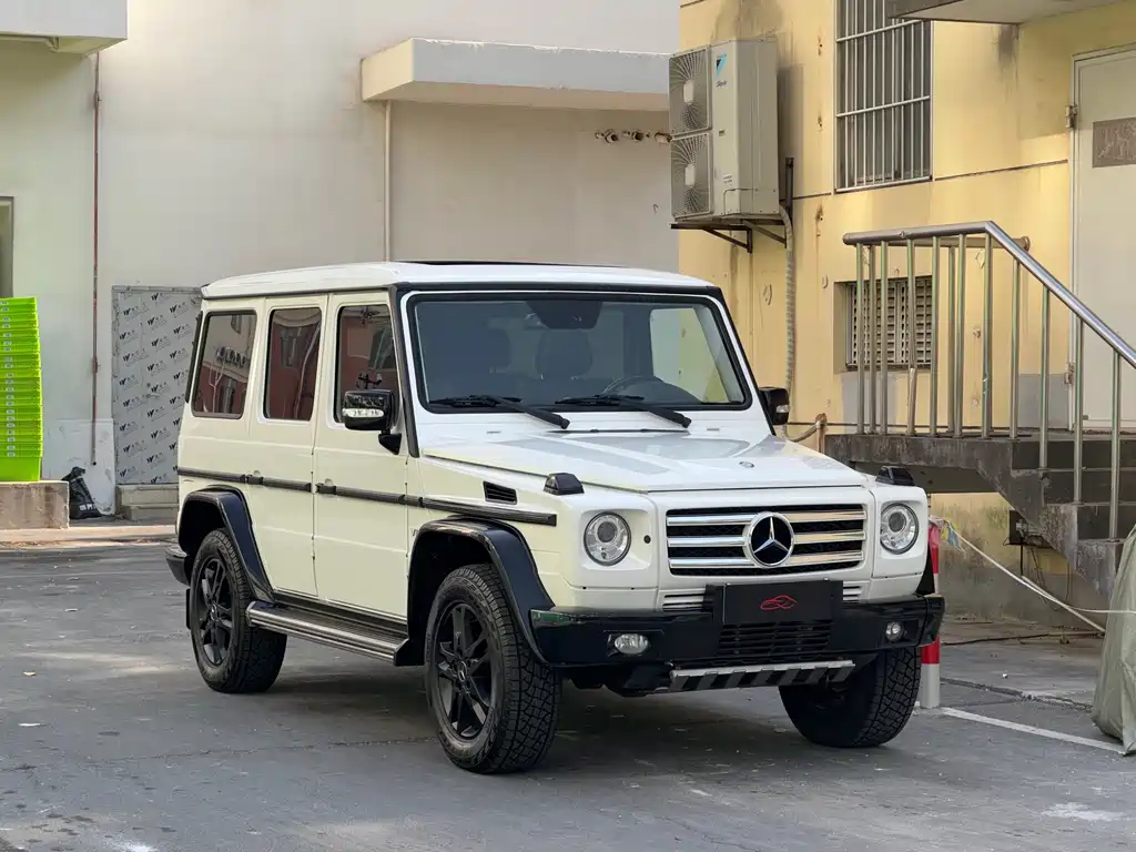 Mercedes-Benz G-Class G 2010 G 500