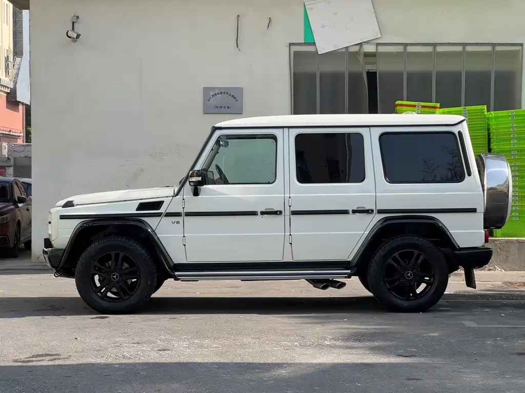 Mercedes-Benz G-Class G 2010 G 500