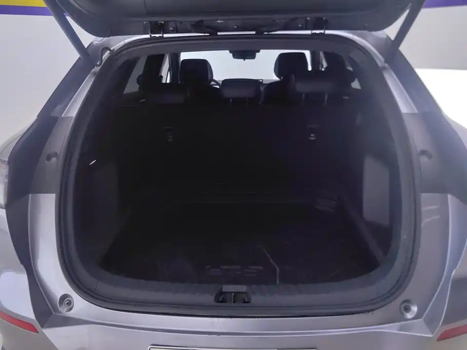 BYD Sealion 06 — миниатюра 4