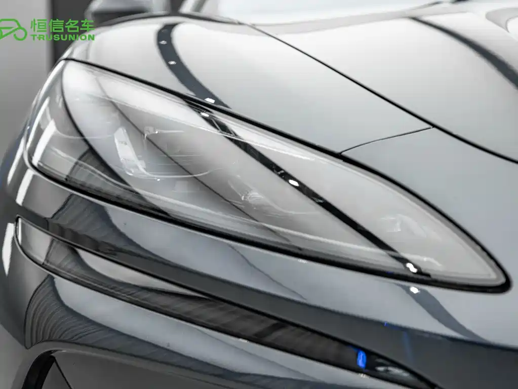 Denza Denza Z9 — миниатюра 10