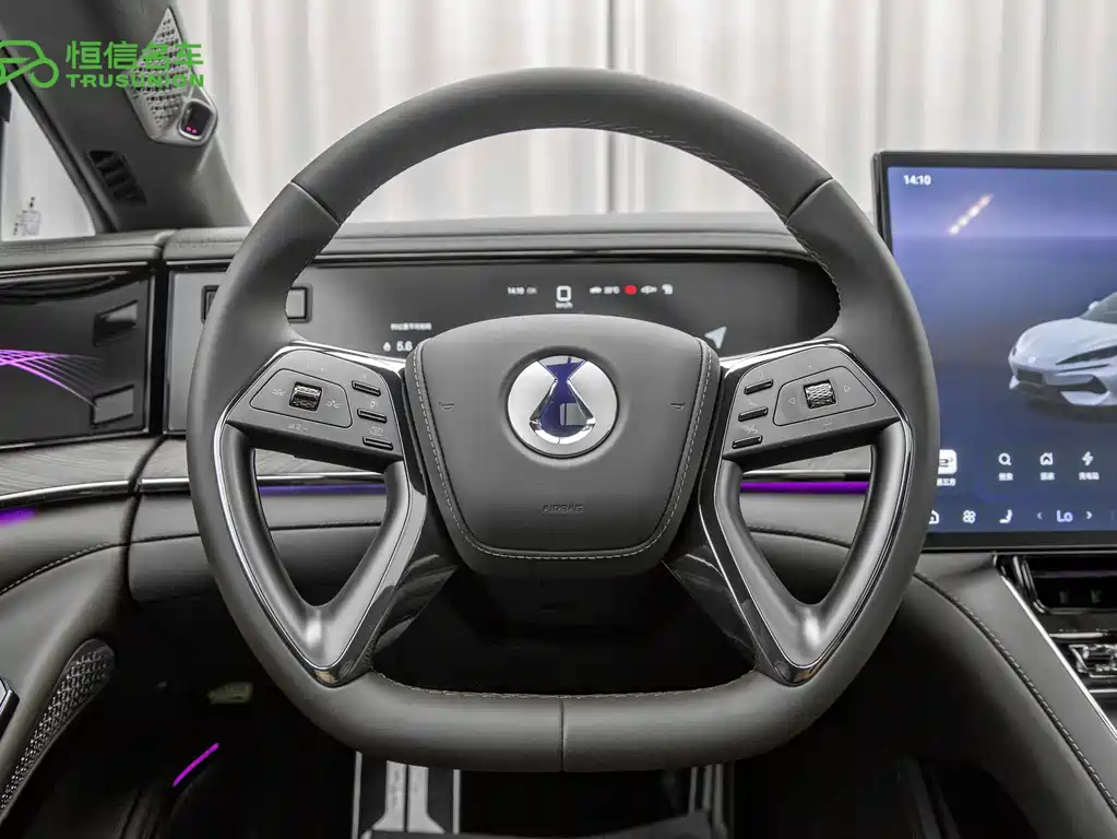 Denza Denza Z9 — миниатюра 17