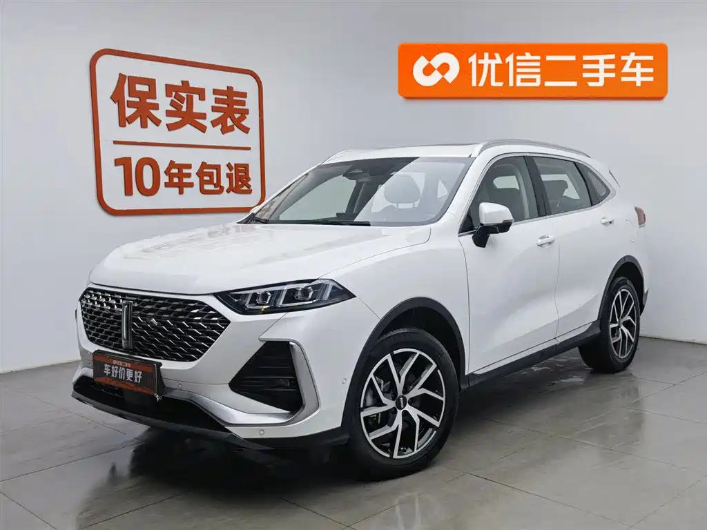 WEI PAI WEI BRAND LATTE DHT PHEV