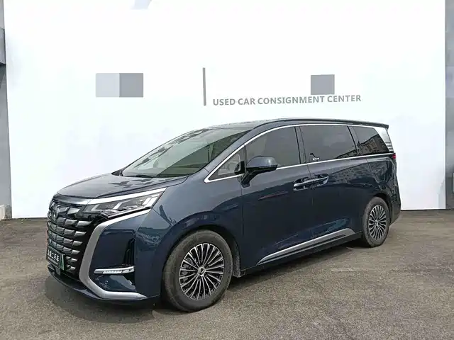 2023 Denza D9