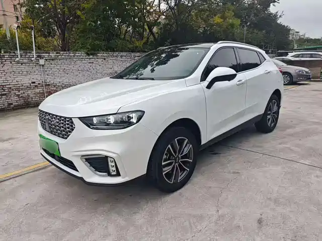 WEI PAI WEI BRAND VV5