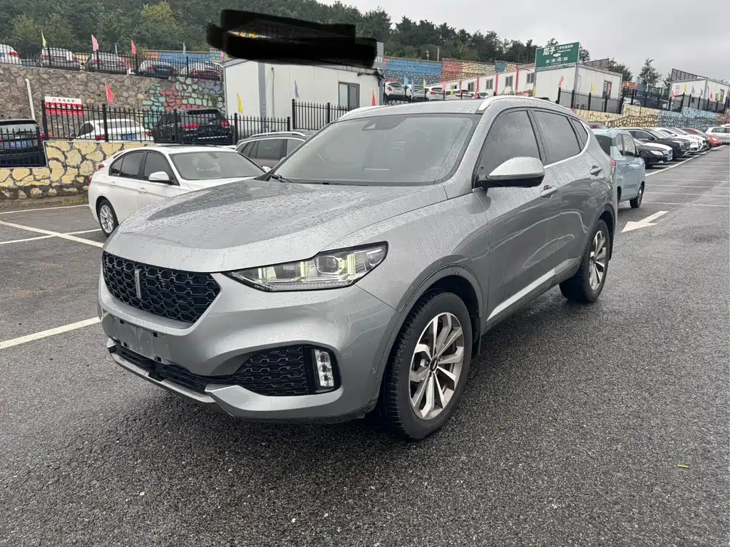 Wey Wey VV6 2019