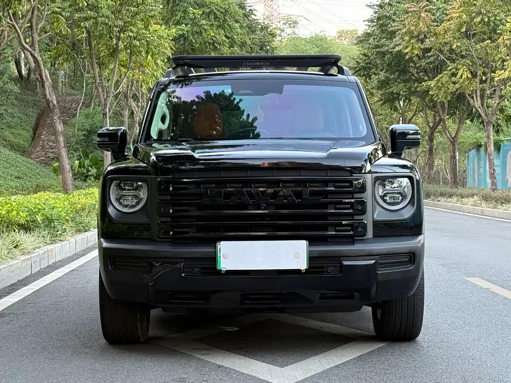 HAVAL RAPTORS NEW ENERGY