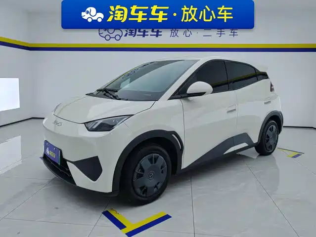 2025 BYD Seagull