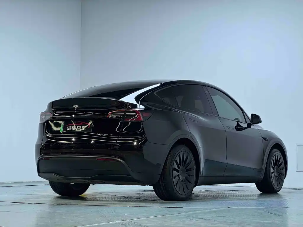 Tesla Model Y — миниатюра 16