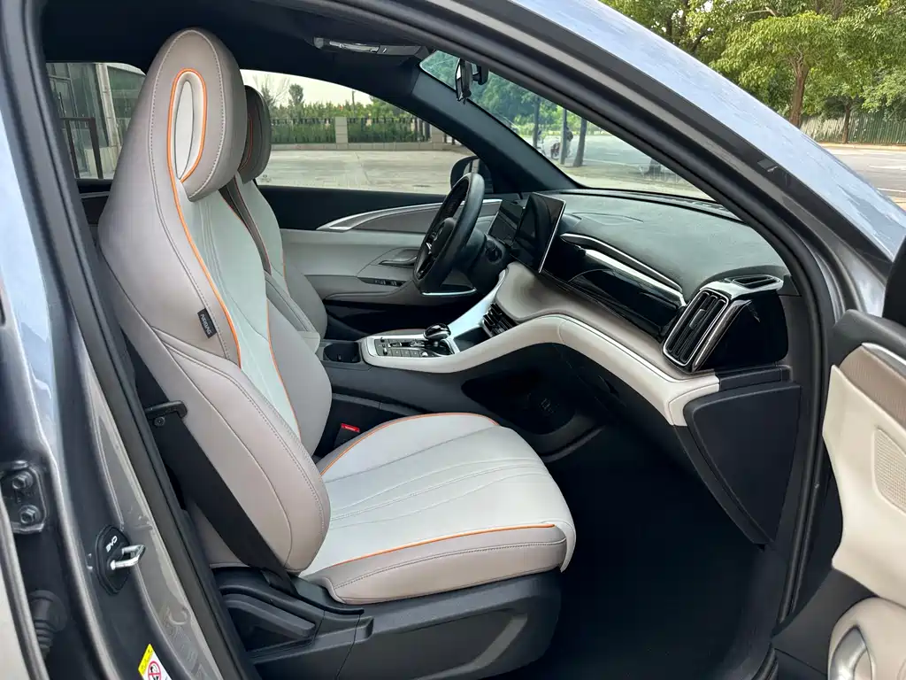 BYD Pro New Energy — миниатюра 7