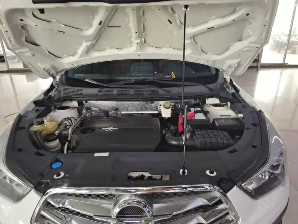 Haima Haima S5 — миниатюра 20
