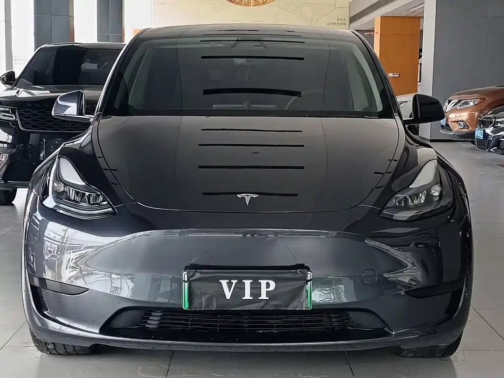 Tesla Model Y — миниатюра 2