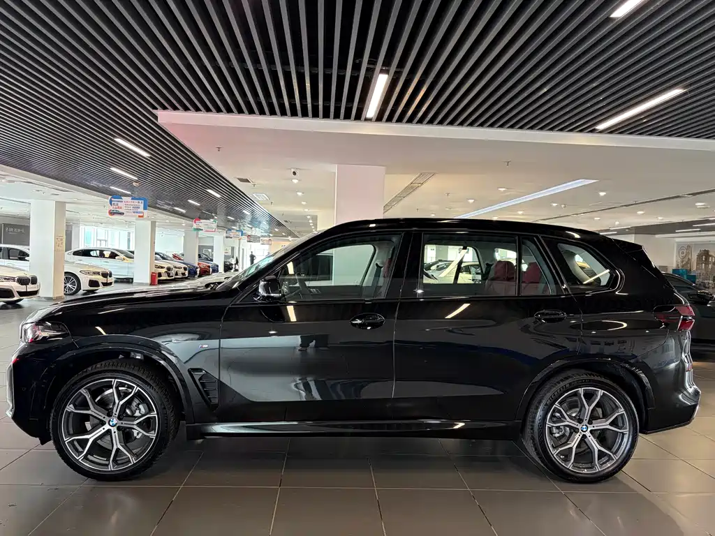 BMW X5 — миниатюра 3