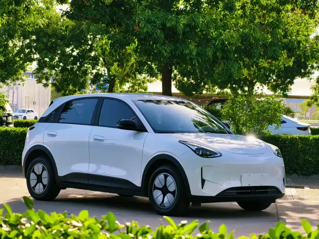 Geely Geome Xingyuan 2025 310km