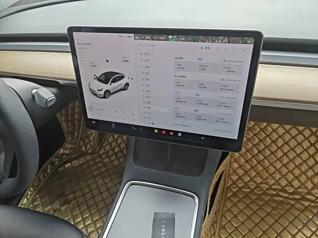 Tesla Model Y — миниатюра 13