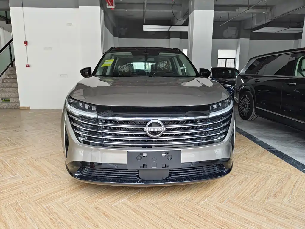 Nissan Teramont — миниатюра 2
