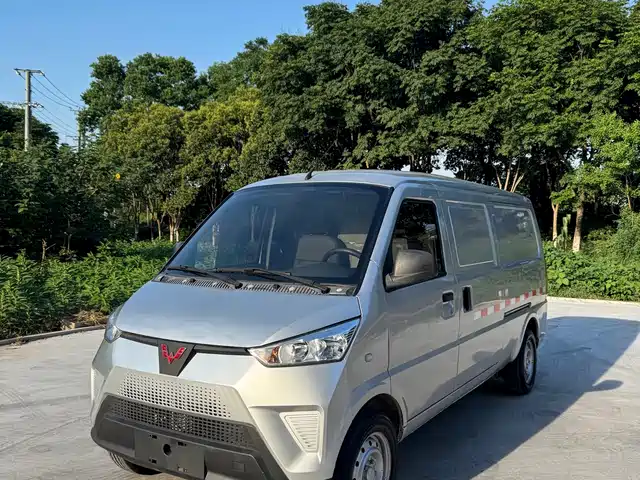 2022 Wuling Motors EV 50