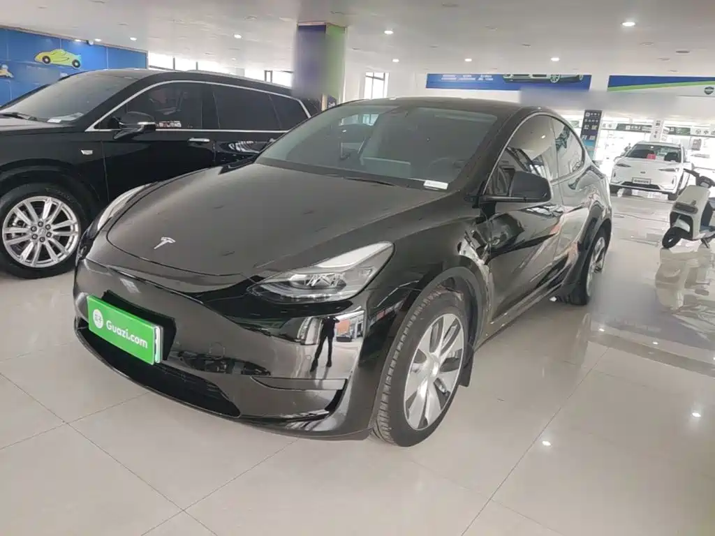 Tesla Model Y — миниатюра 2
