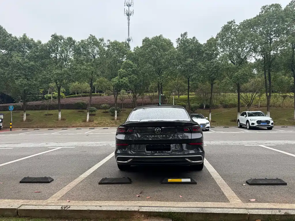 Volkswagen Lamando — миниатюра 8