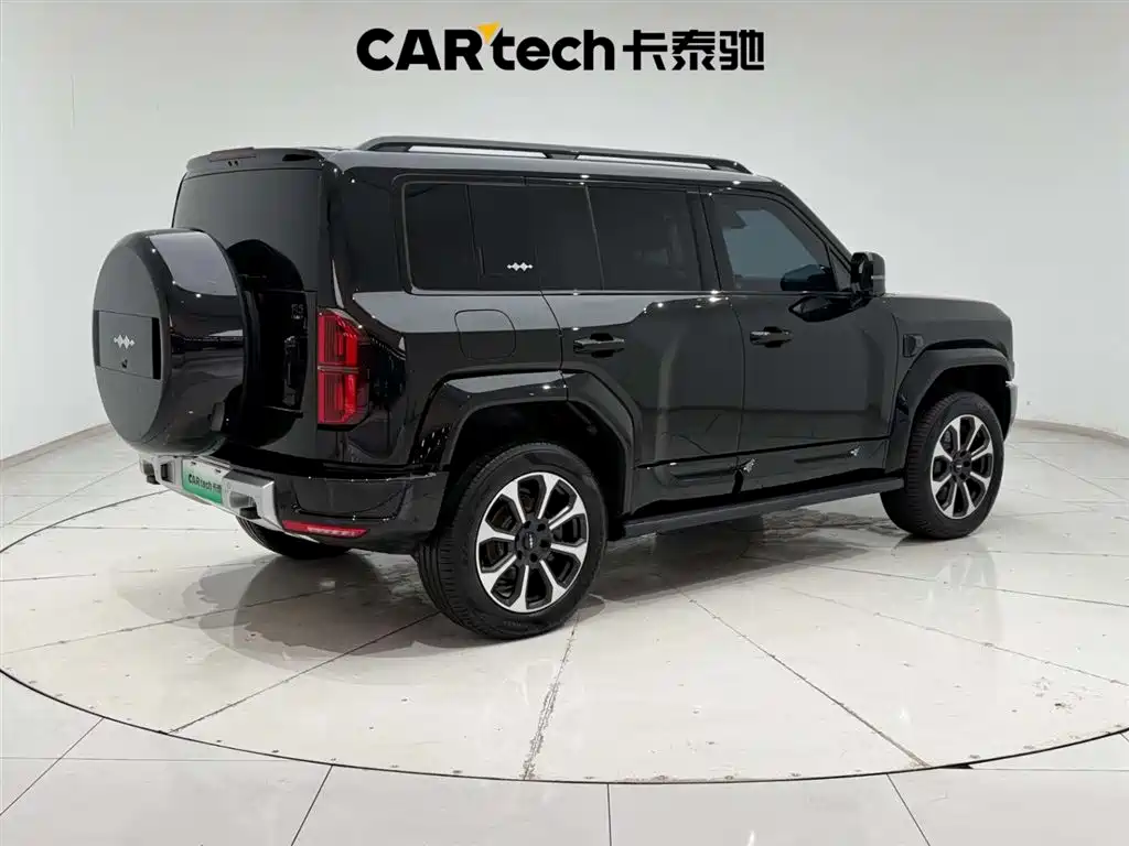 FANG CHENG BAO LEOPARD 5